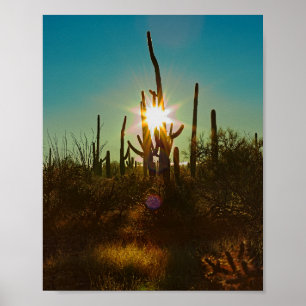 Poster Sunstar du Saguaro