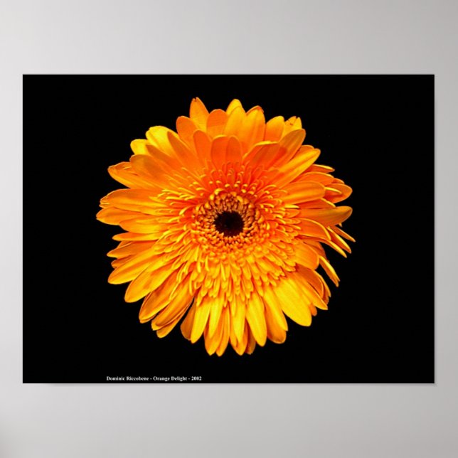 Poster Super (Devant)