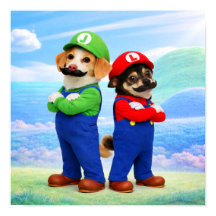 "Super Doggio Bros"