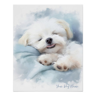 Poster Super mignon ange couchant chiot maltais chien 001