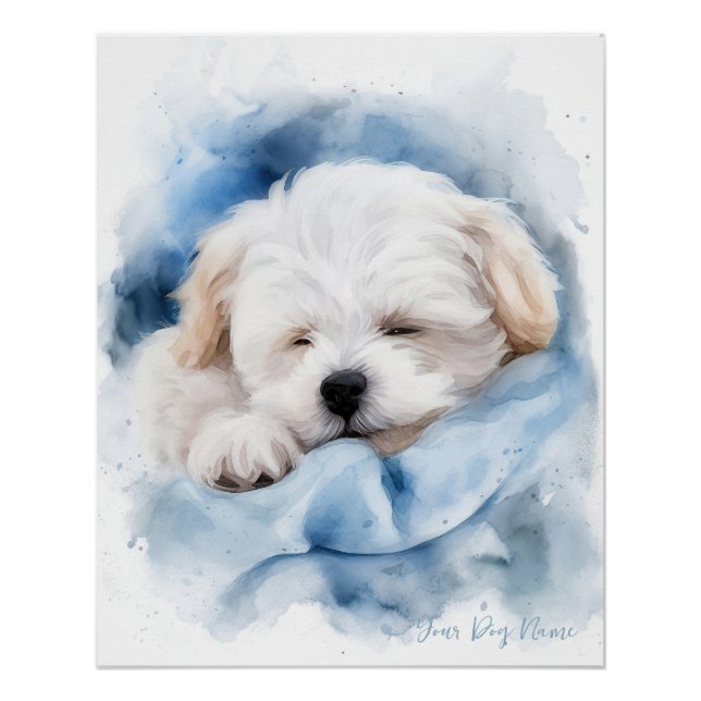 Poster Super mignon ange couchant chiot maltais chien 004 (Devant)
