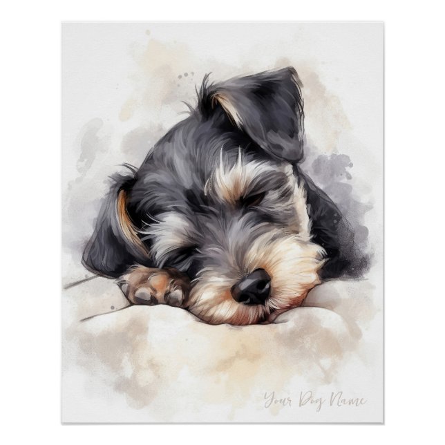 Poster Super mignon ange couchant chiot Schnauzer Chien 0 (Devant)
