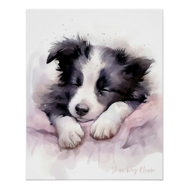 Poster Super mignon ange dormant chiot Border Collie chie (Devant)