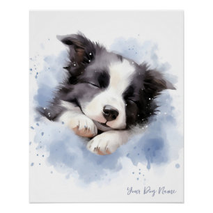Poster Super mignon ange dormant chiot Border Collie chie