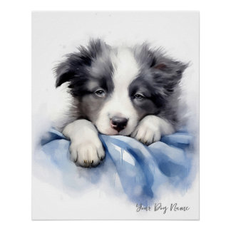 Poster Super mignon ange dormant chiot Border Collie chie