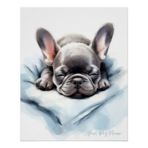 Poster Super mignon ange endormi chiot Français Bulldog 0