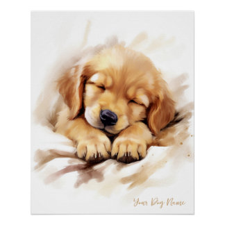 Poster Super mignon ange endormi chiot Golden Retriever