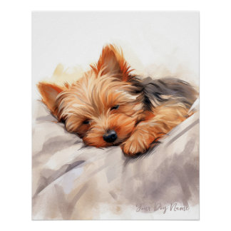 Poster Super mignon ange endormi chiot Yorkshire Terrier