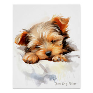 Poster Super mignon ange endormi chiot Yorkshire Terrier
