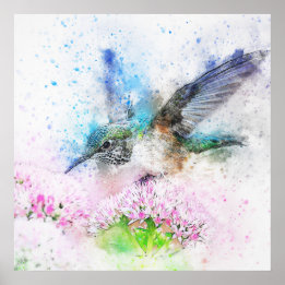 Poster Superbe aquarelle de colibri