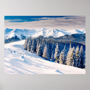 Poster Superbe paysage d'hiver avec des arbres enneigés