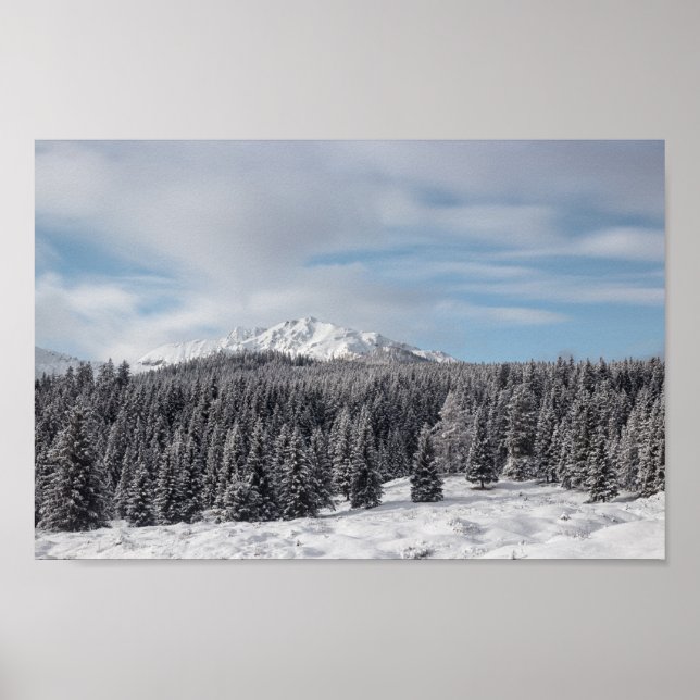 Poster Superbe paysage hivernal (Devant)
