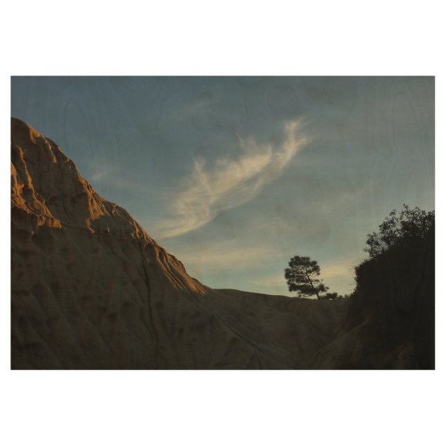 Poster Sur Bois Lone Torrey Pine Californie Sunset Paysage (Devant)