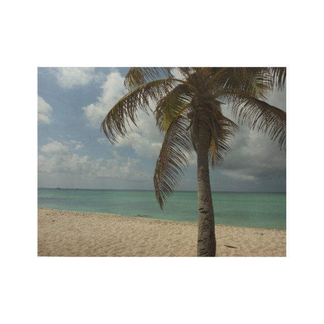 Poster Sur Bois Plage d'Aruba I Belle Scène Nature (Devant)