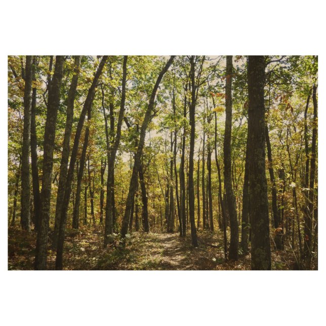 Poster Sur Bois Sentier des Appalaches en octobre à Shenandoah (Devant)