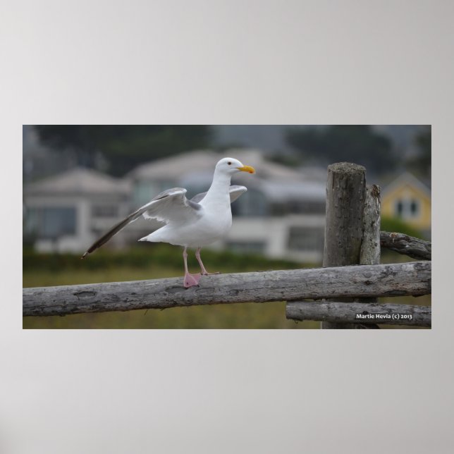 Poster Sur la clôture II - Poster/Imprimer (Devant)