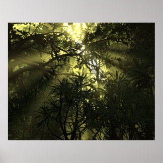 Poster sur la complexité de la jungle