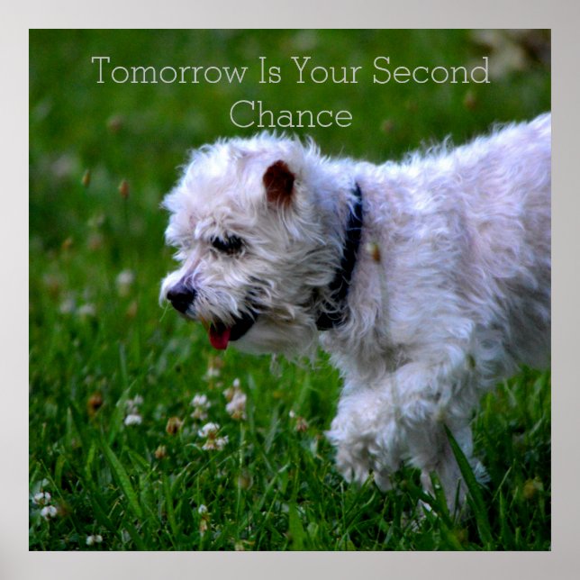 Poster sur la reconstruction demain (Devant)