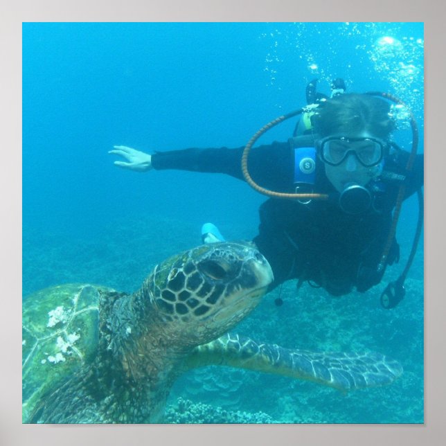 Poster sur la vie sous-marine (Devant)