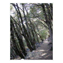 Poster sur le chemin avec Psaume 119:32