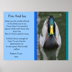Poster Sur Le Feu Et La Canard De Glace Mallard Da