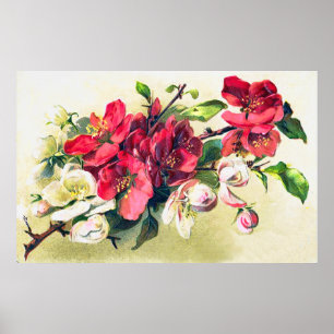 Poster sur les fleurs d'Apple