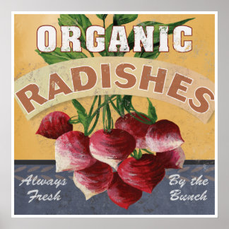 Poster sur les Radis organiques