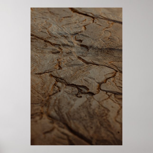 Poster Surface en bois Brown et noir (Devant)