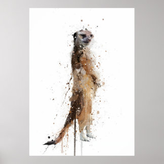 Poster Suricate