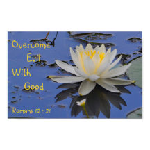 Surmonter Le Mal Avec Une Bonne Lily