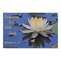 Surmonter Le Mal Avec Une Bonne Lily