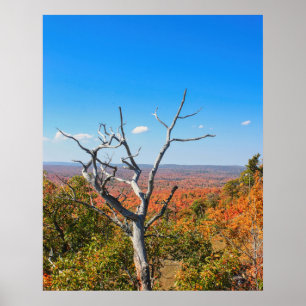 Poster Surplomb d'automne au mont Bohemia