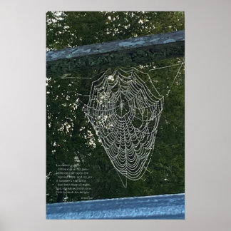 Poster Surprise du matin, une toile d'araignée recouverte