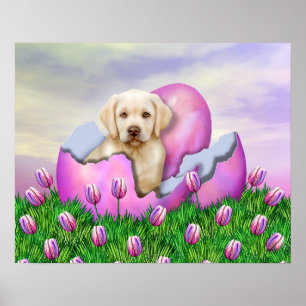 Poster Surprise jaune de Labrador Pâques