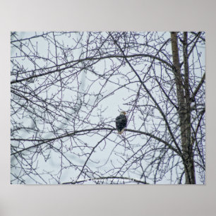 Poster Surveillance