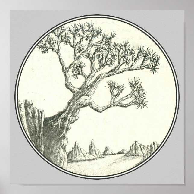 Poster Survivante (Devant)