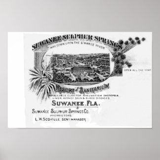 Poster Suwannee Springs historique, Florida suwannee rive
