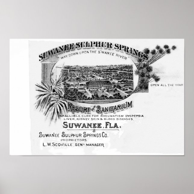 Poster Suwannee Springs historique, Florida suwannee rive (Devant)