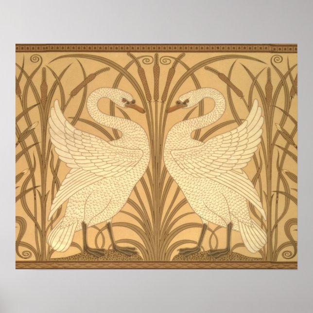 Poster Swan wallpaper design (Devant)