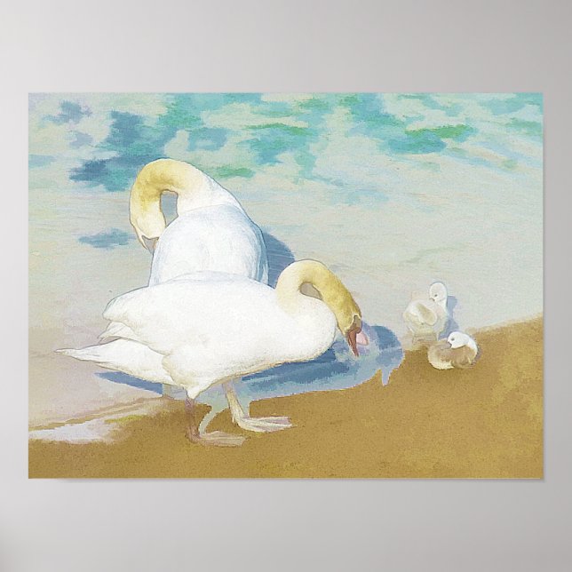 POSTER SWANS (Devant)