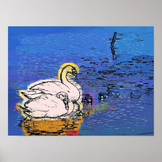 POSTER SWANS (Devant)