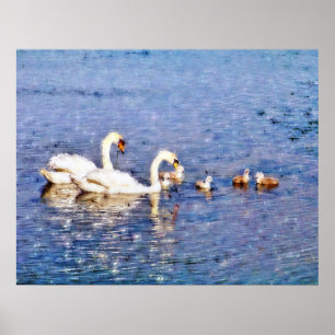 POSTER SWANS
