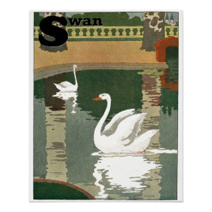 Poster Swans on the Lake Alphabet Letter Parfait