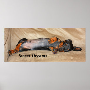 Poster Sweet Dreams