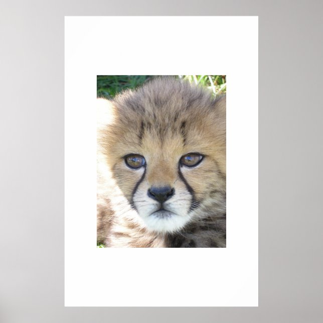 Poster Sweet Novembre (Devant)