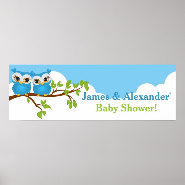 Poster Sweet Twins Owens Boy Baby shower bannière (Devant)
