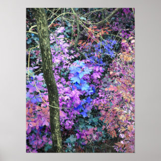 Poster Sweets of Spring