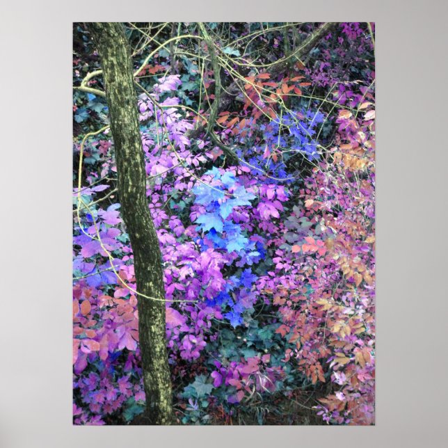 Poster Sweets of Spring (Devant)