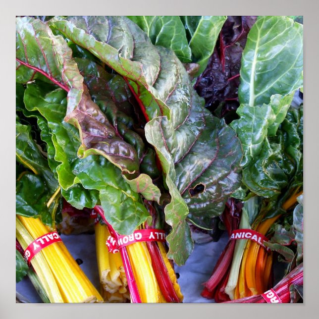 Poster Swiss Chard (Devant)