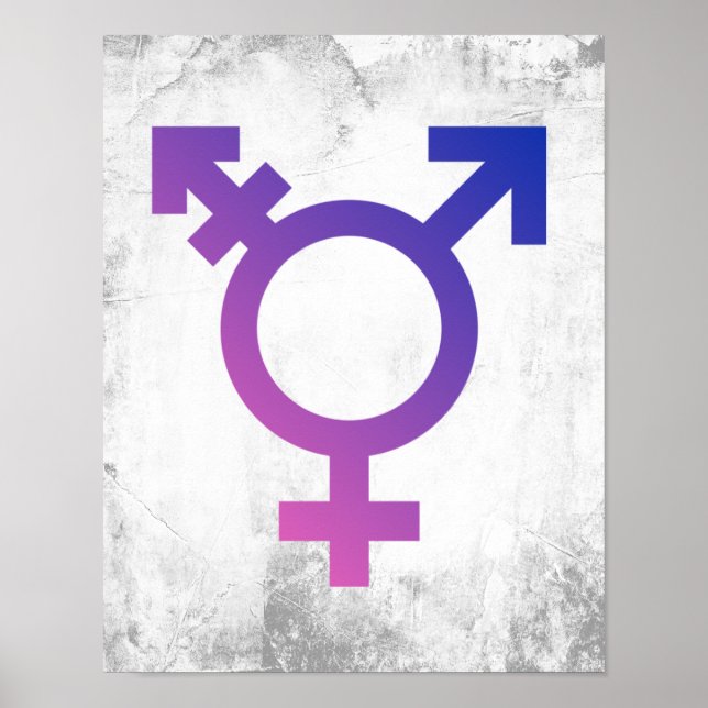 Poster Symbole de la fierté trans (Devant)